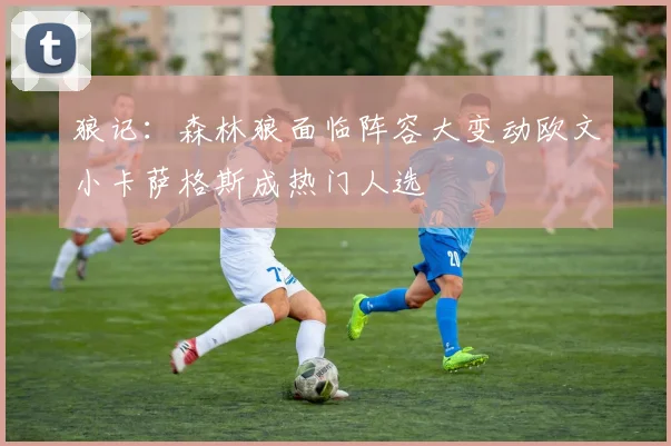 狼记：森林狼面临阵容大变动欧文小卡萨格斯成热门人选