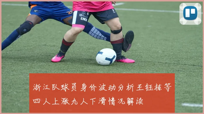 浙江队球员身价波动分析王钰栋等四人上涨九人下滑情况解读